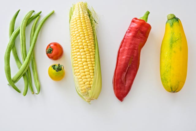 O que é um produto vegano? Conheça os benefícios!