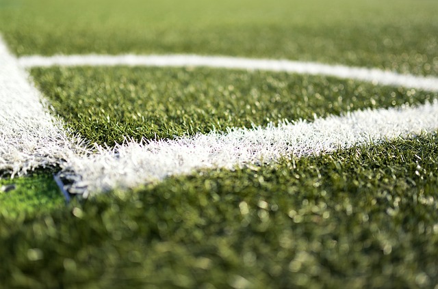 Allianz Parque | História do estádio do Palmeiras